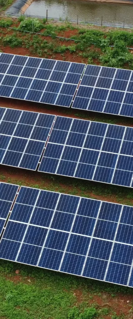 Serviços de Energia Solar em Agronegócios