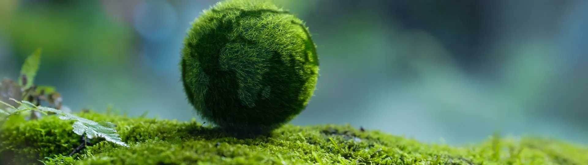 Entenda a Pegada de Carbono