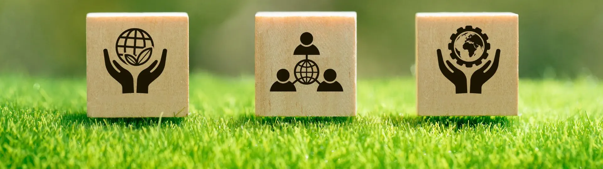 Objetivos ESG